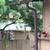 Lovebirds 2 thumbnail