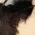 Antique Ostrich Feathers -1910 - Buy one ($15) or two ($25) 2 thumbnail