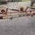 Gehl 9 wheel inline wheel rake 5 thumbnail