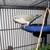 4months old bird cage 5 thumbnail