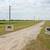 5.93± Acres Grass, Even Terrain & More 5 thumbnail