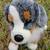 Australian Shepherd Plush Toy Stuffed Dog 5 thumbnail