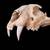 Big cat skulls 2 thumbnail