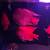 Parrot/ Red Mammon Fish 3 thumbnail