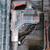 Bosch rotary  hammer 1 thumbnail