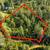 2+ acres with all usable terrain! 6 thumbnail