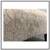 Custom Design Taupe Chenille Patterned Ottoman. Original Pric : $1,500 10 thumbnail