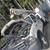 Mobile Auto Mechanic/Technician Call 229-379-5468 7 thumbnail