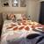 Full furnished room for rent for one person no pets quiet safe neighborhood Sout 2 thumbnail