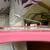 Cozart Electric Guitar (Pink Strat) 8 thumbnail