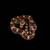 Cornsnake Baby 2 thumbnail