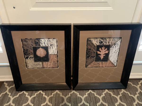 PAIR Framed Abstract Art LEAF Prints by Sally CAIRNS 19.5x24 1