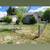yard work for cheap! 4 thumbnail
