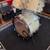 1970s Slingerland drum set, white marine pearl finish 4 thumbnail
