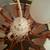 IKEA Exploding Orb Sci-fi Chandelier, Mint 4 thumbnail