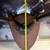 Deer Antler Rack Mounted 5 thumbnail