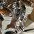 Harley Springer stem nut 9 thumbnail