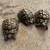 Tortoises Herman’s Russian Greek 3 thumbnail