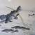 Framed Asian Watercolor Fish Painting by Chu Cheng-Ching 3 thumbnail