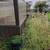 Greenhouse & Water Barrels 4 thumbnail