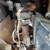 steering column , steering wheel 11 thumbnail