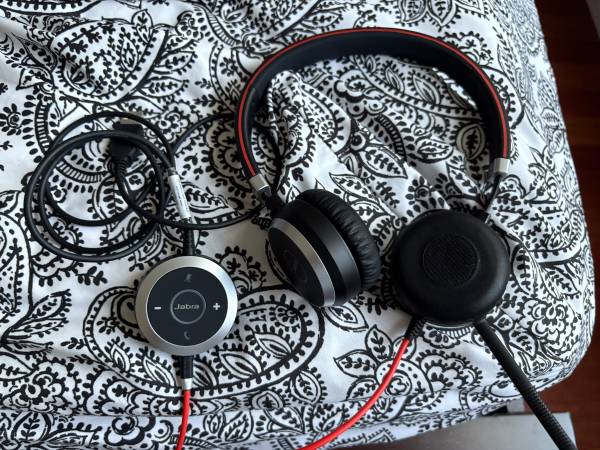 Jabra Evolve 40 Professional Wired Headset - Headphones and Mic 1