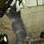 Nubian Bucklings 1 thumbnail