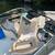 Sea Ray boat 2012 210 SLX 8 thumbnail