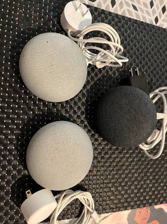 Google Mini Nest 1