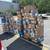 🚚📦 Campbell Express Delivery LLC – Hiring Package Delivery Couriers (109 1 thumbnail