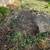 Free old wire fencing 1 thumbnail