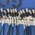 Custom 16 Channel 1RU Rack Mount XLR Input Patch Bay 7 thumbnail