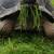 Galapagos Tortoise hatchlings 1 thumbnail