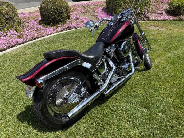 1994 Harley Davidson Softail Custom, FXSTC, Beautiful Bike, Wine Fade Paint. 1