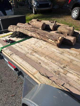 Firewood Logs — Two Dry Trunks, 12 ft + 14 ft — Roughly 1/3 Cord - Edmonds 1