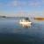 Fish /Dive Boat 1 thumbnail