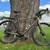 SPECIALIZED Sequoia Elite 58 in Kombu/Charcoal Reflective (2019) 9 thumbnail