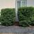 calmoperez landscaping 16 thumbnail