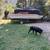 Pontoon boat 1 thumbnail