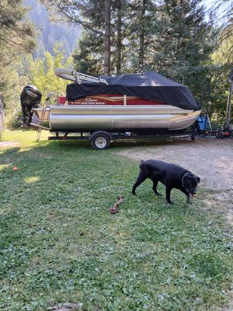 Pontoon boat 1