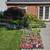 Eiko's Annual Plants/Flowers/Trees Sale $1 and up 2 thumbnail