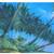 Large Florida Scene Signed Oil Painting 53 X 41" 9 thumbnail