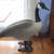 Clinton Iowa Decoys Large Standing Goose 1985 1 thumbnail