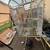bird cage 1 thumbnail