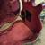 Yamaha Image Guitar - Needs work 5 thumbnail