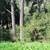 7.6 Acre Lot Just South of Skyline High 14 thumbnail