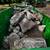 JUNK REMOVAL • DEMOLITION • GRADING • DUMPSTER RENTAL • GRAVEL 3 thumbnail