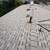 🏠🔨 5-STAR ROOFING SERVICES YOU CAN TRUST! 🛠️🏠 11 thumbnail