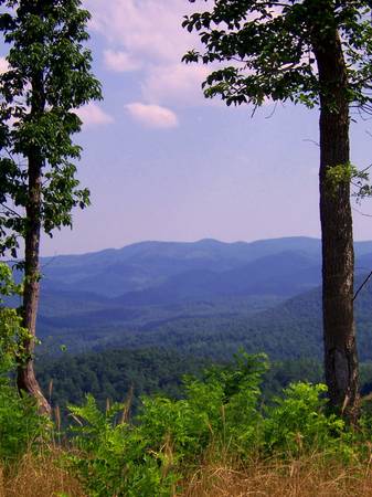 $19,900 BOSTIC - Building Lot - 3.7 Acres - Buy or Lease to Own (Owls Ridge Drive)63925205129474122