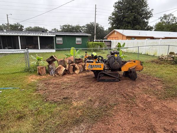 Stump grinder 1